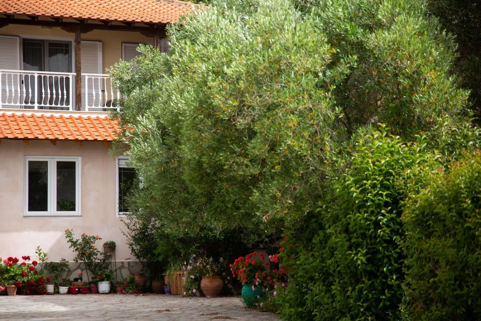 Newstory Suites Possidi Aparthotel